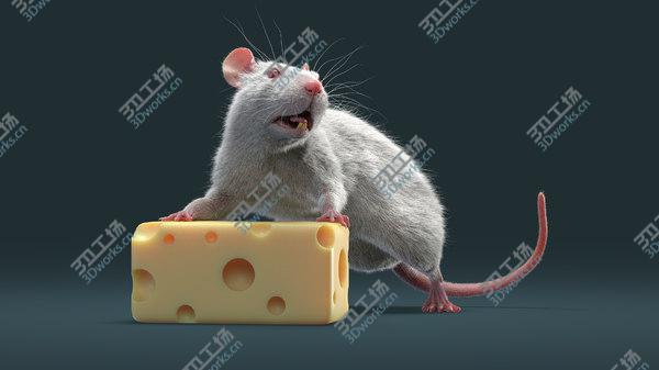 images/goods_img/20210312/Rats Collection (Rigged) 3D model/4.jpg